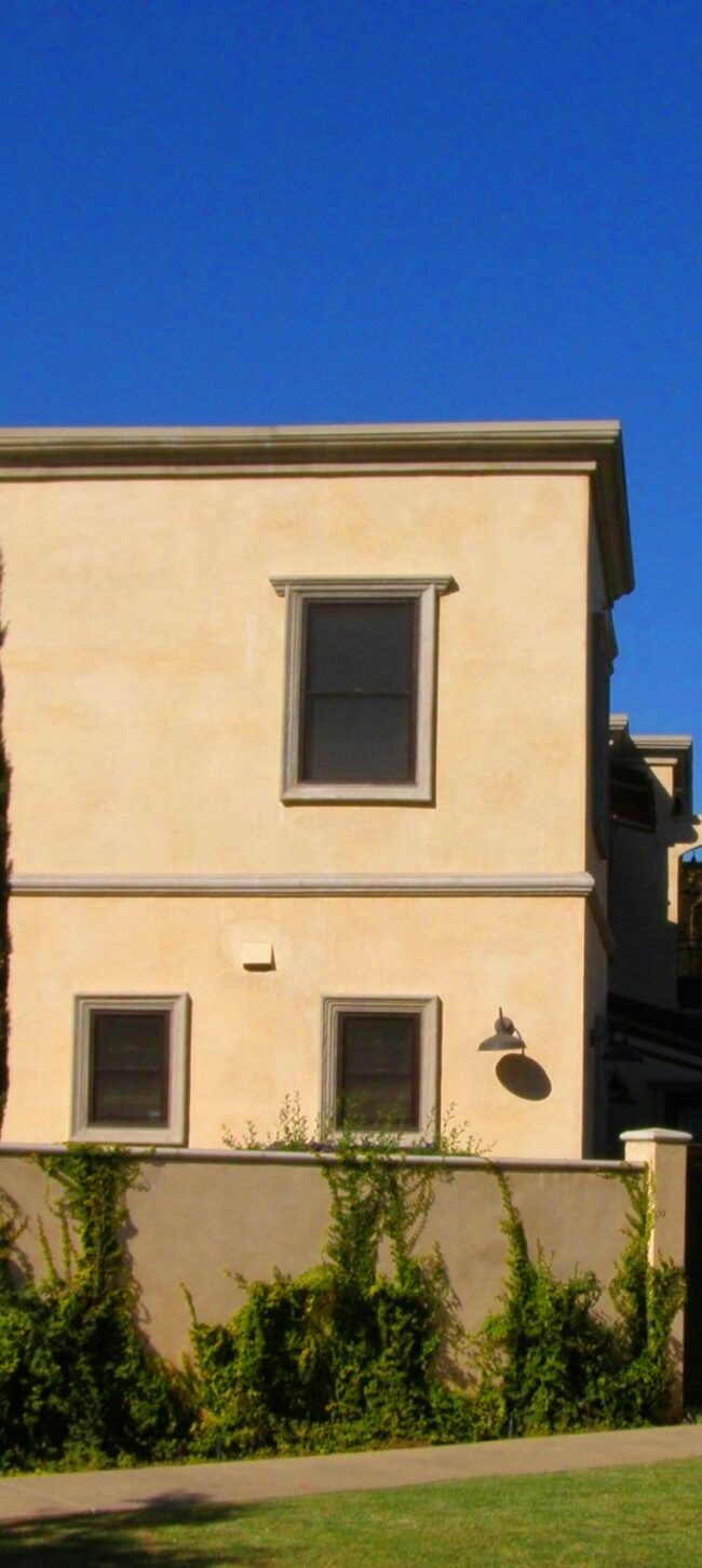Side View