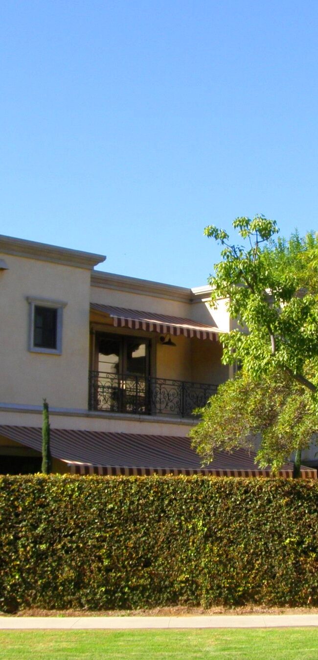 Rear View