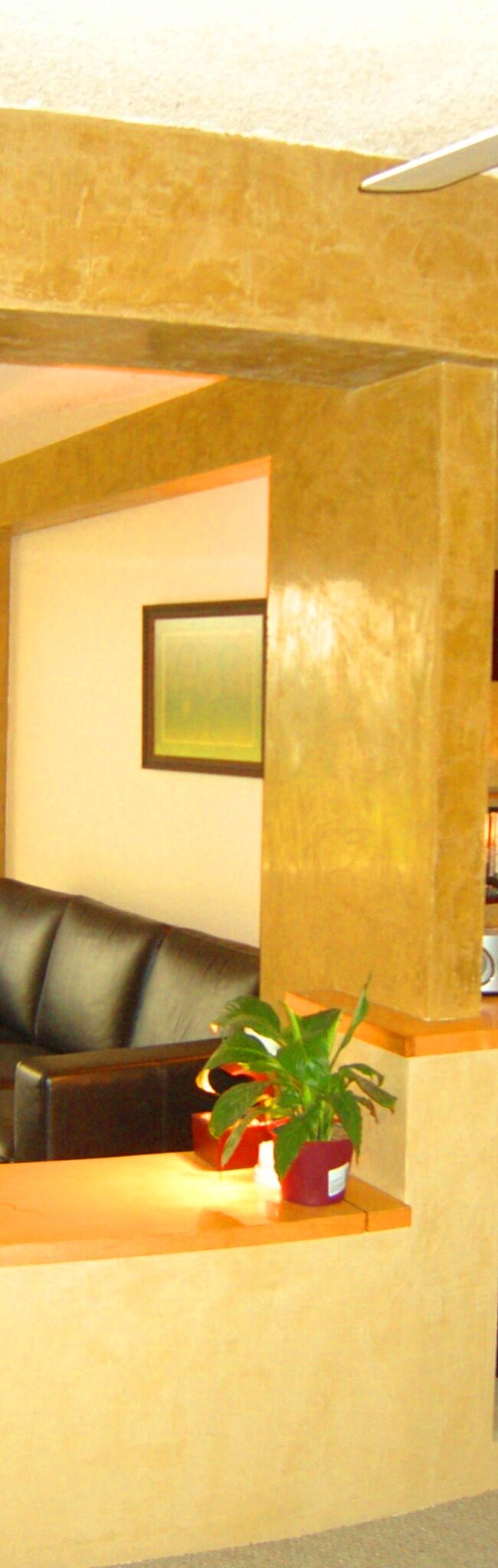 Living Room Wall & Cabinet